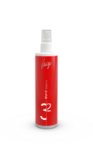STYLE IN purinamasis plaukų standiklis, stipri fiksacija, 200 ml paveikslėlis