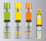 EVIN RHOSE plaukų putos (3), stipri fiksacija, 300 ml paveikslėlis