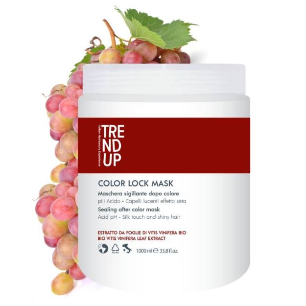 COLOR LOCK dažytų plaukų kaukė, 1000 ml paveikslėlis