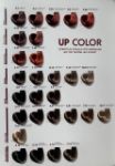 UP COLOR dažomasis plaukų kremas, 100 ml paveikslėlis